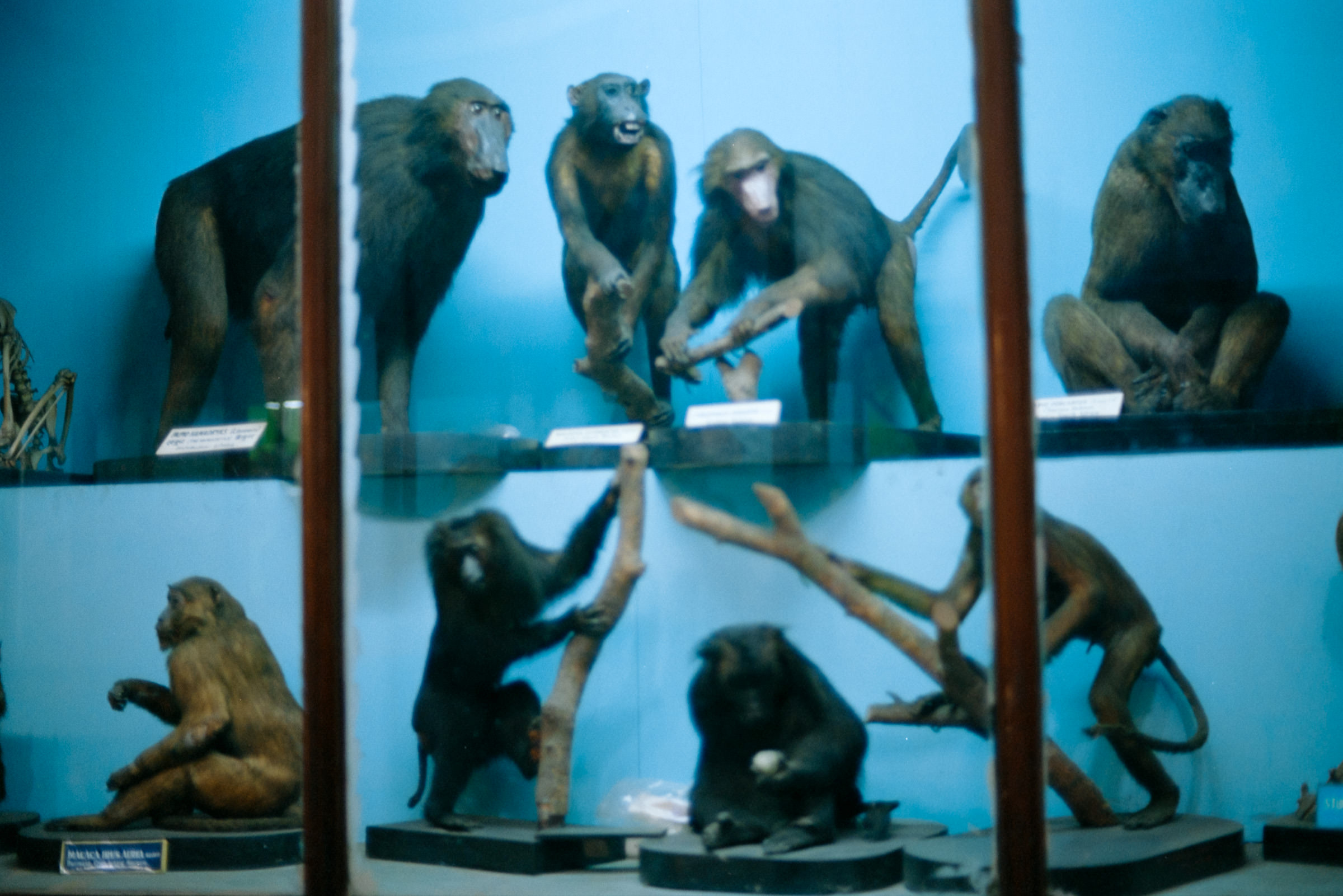 AHP film 2005 01 001 sc240825 img22 NLP